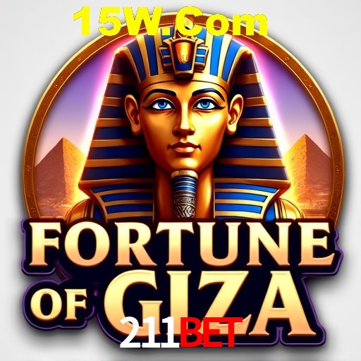 Security Systems 211bet
